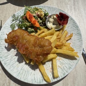 fish and ship